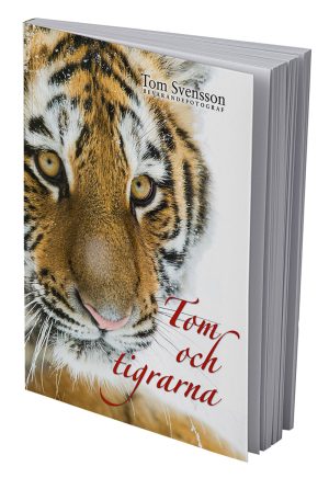 Tom och tigrarna för 9-12 år