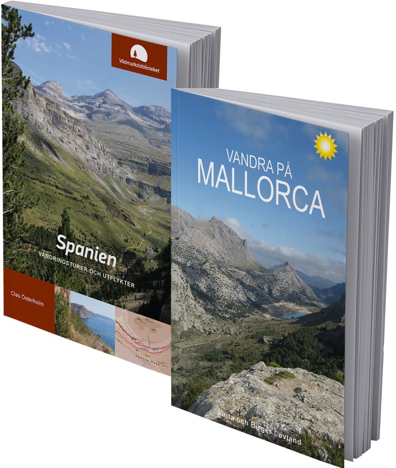Reapaket Spanien och Mallorca