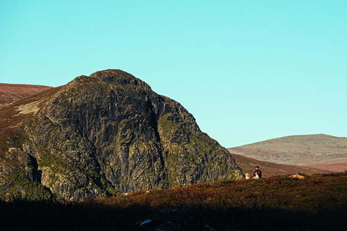 Vid Luvlie Gaarenesbaektie 