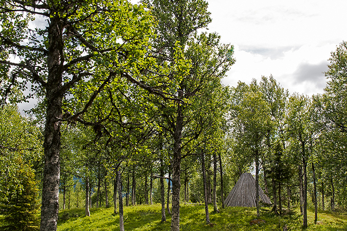 Matt-Jons samevistelse