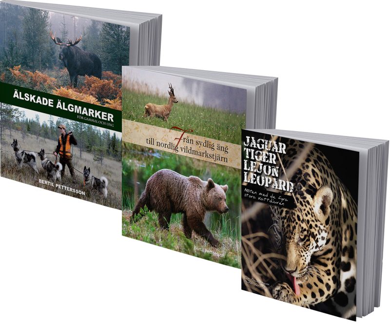 Rea-paket djur och natur
