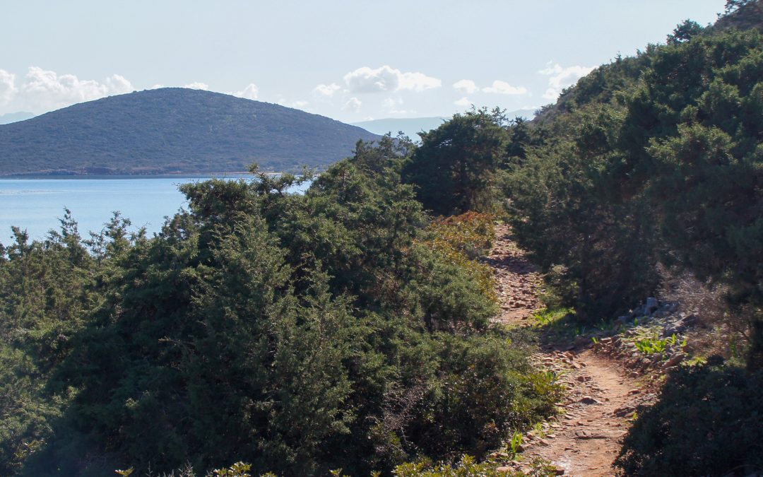 Uppdateringar Kreta-guiden