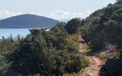 Uppdateringar Kreta-guiden